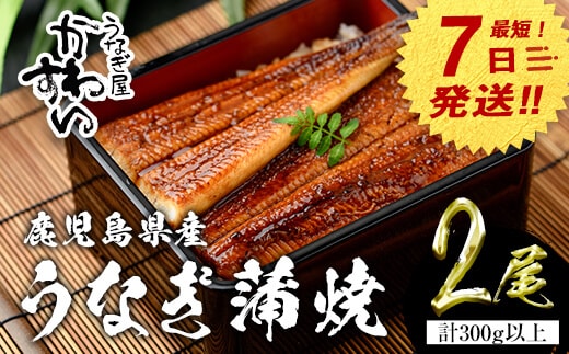 【7営業日以内に発送！】＜うなぎ屋かわすい＞鹿児島県産国産うなぎ蒲焼(計300g以上/1本あたり150～169g×2本)タレ入り鰻うな重かばやき【川口水産】A854