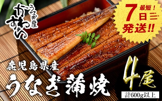 【7営業日以内に発送！】＜うなぎ屋かわすい＞鹿児島県産国産うなぎ蒲焼(計600g以上/1本あたり150～169g×4本)タレ入り鰻うな重かばやき【川口水産】A856