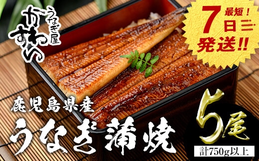 【7営業日以内に発送！】＜うなぎ屋かわすい＞鹿児島県産国産うなぎ蒲焼(計750g以上/1本あたり150～169g×5本)タレ入り鰻うな重かばやき【川口水産】A857