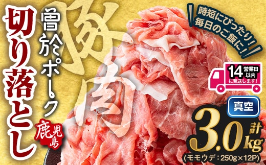 鹿児島県曽於市産 曽於ポーク切り落とし (計3.0kg) 真空パック 豚肉 切り落とし【Rana】A811-v01