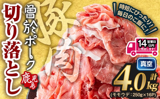 鹿児島県曽於市産 曽於ポーク切り落とし (計4.0kg) 真空パック 豚肉 切り落とし【Rana】A812-v01