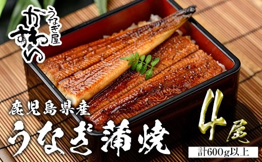 ＜うなぎ屋かわすい＞鹿児島県産国産うなぎ蒲焼(計600g以上/1本あたり150～169g×4本)タレ入り鰻うな重かばやき【川口水産】A856-v02