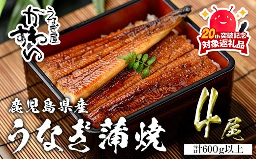 ＜うなぎ屋かわすい＞鹿児島県産国産うなぎ蒲焼(計600g以上/1本あたり150～169g×4本)タレ入り鰻うな重かばやき【川口水産】A856-v02