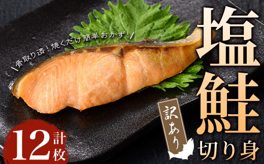 【訳あり】骨取り 塩鮭切り身(計12枚) 鮭 骨なし 冷凍【小迫ストアー】A904