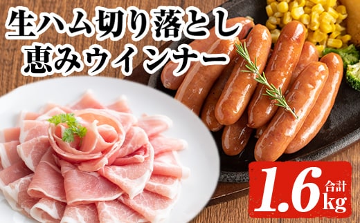 ＜2026年1月中に発送予定＞国産豚生ハム切り落とし・業務用荒挽き恵みウインナー(合計1.6kg) 生ハム おつまみ 小分け 【ナンチク】A941-01