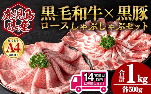 ＜14営業日以内発送！＞鹿児島県産黒毛和牛ロース×黒豚肩ロースしゃぶしゃぶセット (合計1kg・各500g) 国産 牛肉 豚肉【肉のちょーさん】A949