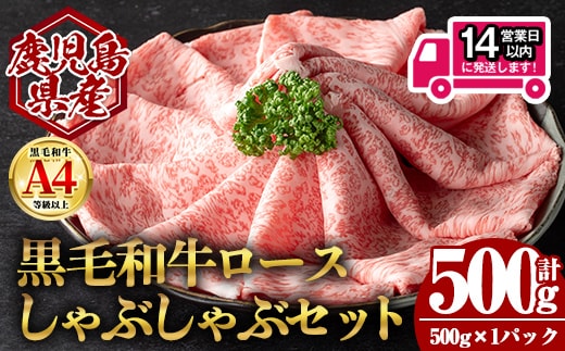 ＜14営業日以内発送！＞鹿児島県産黒毛和牛ロース しゃぶしゃぶ用セット (計500g・500g×1) 国産 牛肉 しゃぶしゃぶ【肉のちょーさん】A953