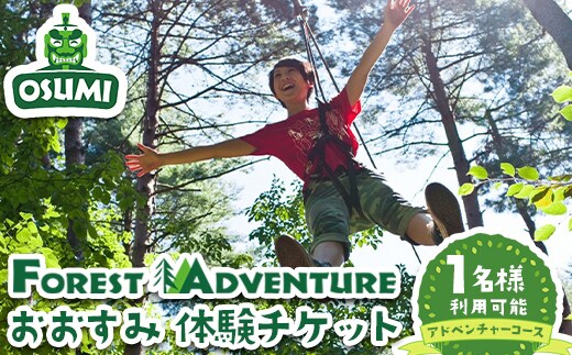 【アドベンチャーコース】フォレストアドベンチャー・おおすみ 体験チケット (1名分) 体験 アクティビティ チケット【フォレストアドベンチャー・おおすみ】 A962