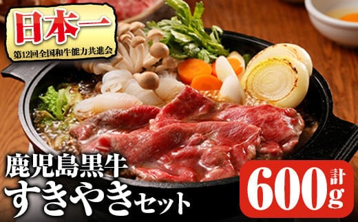 鹿児島黒牛すきやきセット(計約600g)【D-101】鹿児島県産黒毛和牛すき焼き【そお鹿児島農業協同組合】B130-v01
