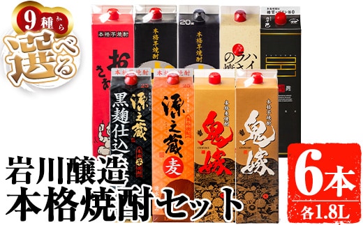 岩川醸造お好きな銘柄が選べる紙パック6本セット(1800mL×6本)焼酎本格焼酎飲み比べ【大隅家】B187-v01
