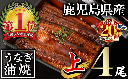 無投薬！鹿児島県産うなぎ蒲焼セット＜上＞(計560g以上・140g以上×4尾)タレ・山椒付き鰻ウナギ国産【西日本養鰻】B144-v02