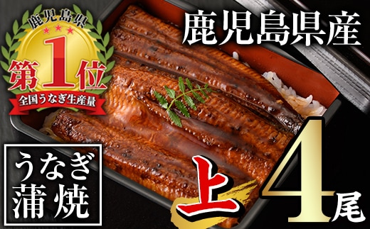 無投薬！鹿児島県産うなぎ蒲焼セット＜上＞(計560g以上・140g以上×4尾)タレ・山椒付き鰻ウナギ国産【西日本養鰻】B144-v01