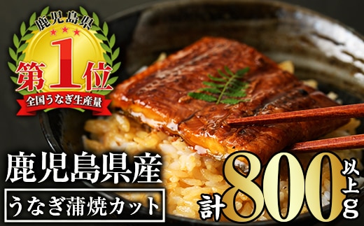 無投薬！鹿児島県産うなぎ蒲焼カット(計800g以上・約50g×15枚)タレ・山椒付きカット鰻鰻カット【西日本養鰻】B147-v02