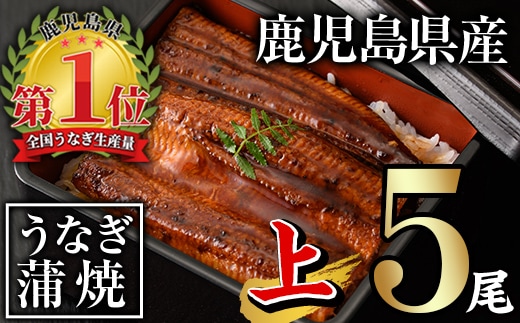 無投薬！鹿児島県産うなぎ蒲焼セット＜上＞(計700g以上・140g以上×5尾)タレ・山椒付き鰻ウナギ国産【西日本養鰻】B170-v01
