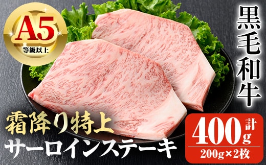鹿児島県産A5等級以上黒毛和牛・霜降り特上サーロインステーキ計400g(200g×2枚) 黒毛和牛 牛肉 ステーキ【ビーフ倉薗】B172