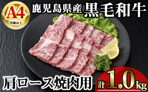 鹿児島県産黒毛和牛A4等級以上肩ロース焼肉用(計1.0kg) 鹿児島県産 牛肉 冷凍【KNOT】B198