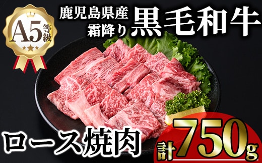 鹿児島県産A5等級黒毛和牛霜降りロース焼肉 (計750g・250g×3P) 牛肉 鹿児島県産 牛 黒毛和牛 ロース 焼肉 ロース肉 A5 冷凍 霜降り【KNOT】B218