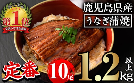 無投薬！鹿児島県産うなぎ蒲焼セット＜定番＞(計1.2kg以上・ 約120g×10尾) タレ・山椒付き 鰻 ウナギ 国産【西日本養鰻】C45