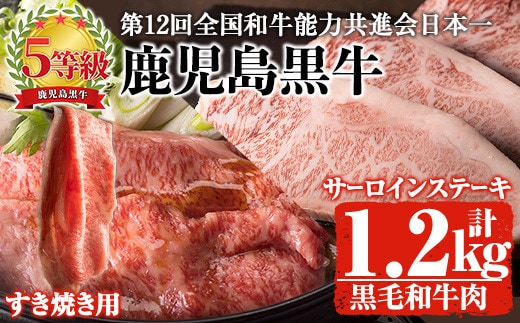 鹿児島県産黒毛和牛肉！5等級！鹿児島黒牛サーロインステーキ(200g×3枚)・すき焼き(600g)セット計1.2kg！(S-1801)31-D-23黒毛和牛ステーキすき焼き【そお鹿児島農業協同組合】D23-v01