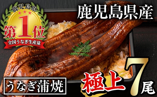 無投薬！鹿児島県産うなぎ蒲焼セット＜極上＞(計1.3kg以上・160g～236g×7尾)タレ・山椒付き鰻ウナギ国産【西日本養鰻】D30-v01