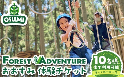 【キャノピーコース】フォレストアドベンチャー・おおすみ グループ体験チケット (最大10名様) 体験 アクティビティ チケット【フォレストアドベンチャー・おおすみ】 D49