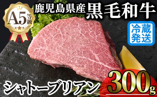 ＜新鮮チルド 希少部位＞鹿児島県産A5黒毛和牛“極厚”シャトーブリアン (計300g・300g×1枚) 冷蔵 チルド シャトーブリアン 希少部位 ヒレ【KNOT】 D53