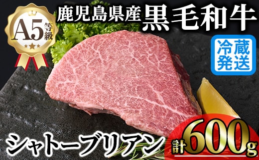 ＜新鮮チルド 希少部位＞鹿児島県産A5黒毛和牛“極厚”シャトーブリアン(計600g・300g×2枚)冷蔵 チルド シャトーブリアン 希少部位 ヒレ【KNOT】 D55
