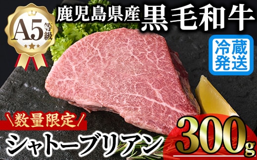 ＜新鮮チルド 数量限定希少部位＞鹿児島県産A5黒毛和牛“極厚”シャトーブリアン (計300g・300g×1枚) 冷蔵 チルド シャトーブリアン 希少部位 ヒレ【KNOT】 D53