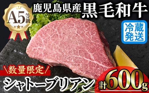 ＜新鮮チルド 数量限定希少部位＞鹿児島県産A5黒毛和牛“極厚”シャトーブリアン(計600g・300g×2枚)冷蔵 チルド シャトーブリアン 希少部位 ヒレ【KNOT】 D55