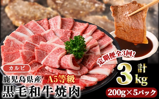 ＜定期便・全3回＞A5等級鹿児島県産黒毛和牛カルビ焼肉(計3kg・200g×5パック×3回) カルビ 焼肉 黒毛和牛【カミチク】T23-v01
