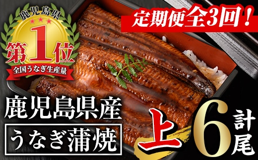【定期便全3回】無投薬！鹿児島県産うなぎ蒲焼セット＜上＞(計840g以上・140g以上×2尾×3回) タレ・山椒付き 鰻 ウナギ 国産【西日本養鰻】T26