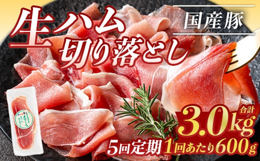 ＜定期便・全5回(連続)＞鹿児島発！国産豚生ハム切り落とし（計3kg/計600g・60g×10P×5回） 生ハム おつまみ 小分け 【ナンチク】 T30-v01