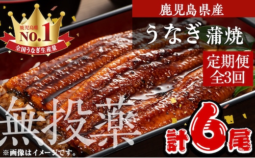 ＜定期便・全3回＞鹿児島県産うなぎ蒲焼 (1尾あたり136g～155g×2尾×3回、タレ・山椒付き) 鰻 ウナギ 国産 【西日本養鰻】T46