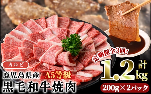 A5等級鹿児島県産黒毛和牛カルビ焼肉(計1.2kg・200g×2パック×3回) カルビ 焼肉 黒毛和牛【カミチク】T44
