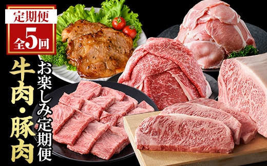 ＜定期便・全5回(連続)＞毎月違うお肉をお届け！お楽しみ定期便 (合計2.66kg以上) 牛肉 豚肉 定期便 【ナンチク】 T47