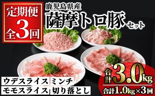 ＜定期便・連続全3回＞鹿児島県産薩摩トロ豚モリモリおためしパック(合計3kg・1kg×3回) 小分け 冷凍 スライス ひき肉 ミンチ モモ ウデ 切り落とし【KNOT】T79