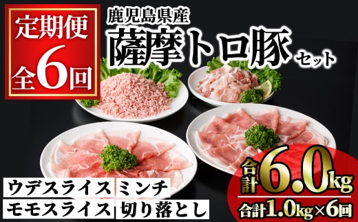 ＜定期便・連続全6回＞鹿児島県産薩摩トロ豚モリモリおためしパック(合計6kg・1kg×6回) 小分け 冷凍 スライス ひき肉 ミンチ モモ ウデ 切り落とし【KNOT】T80