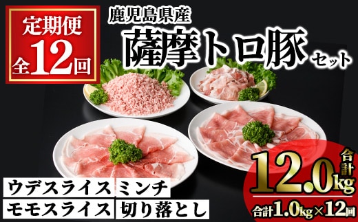 ＜定期便・連続全12回＞鹿児島県産薩摩トロ豚モリモリおためしパック(合計12kg・1kg×12回) 小分け 冷凍 スライス ひき肉 ミンチ モモ ウデ 切り落とし【KNOT】T81