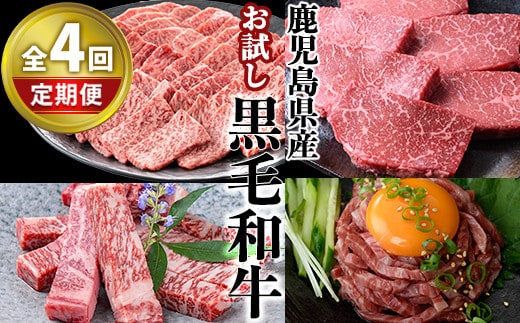 ＜定期便・全4回＞カミチク お試し黒毛和牛定期便 国産 鹿児島県産 黒毛和牛 【カミチク】T9-v01