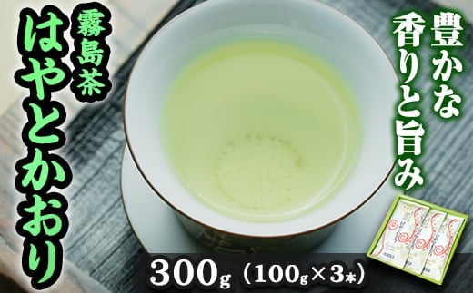 A-019 霧島茶 はやとかおり 雅 詰合せ(100g×3本)【マル竹園製茶】霧島市 緑茶 茶葉 お茶 日本茶