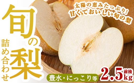A-138 ＜先行予約受付中！2026年8月中旬～10月上旬の間に発送予定＞梨詰め合わせ(約2.5kg前後)【さくら農園】なし 梨 豊水 フルーツ 果物 期間限定