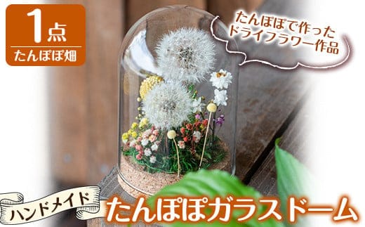A0-257 たんぽぽガラスドーム・たんぽぽ畑(1点)【かわいち国分】霧島市 インテリア たんぽぽ ガラスドーム 置き物 ドライフラワー ハンドメイド