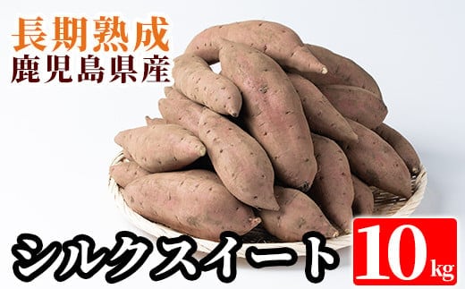 A2-028 鹿児島県産＜シルクスイート＞土付き(10kg)【フレッシュジャパン鹿児島】