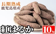 A2-012 鹿児島県産＜紅はるか＞土付き(10kg)【フレッシュジャパン鹿児島】