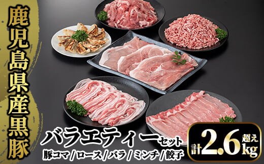 A8-012 国産！鹿児島県産黒豚バラエティーセット計2.6kg超え(小間切れ250g×4P・ロース300g・バラ300g・ミンチ500g・モモ500g・餃子10個入)【肉の豊楽】