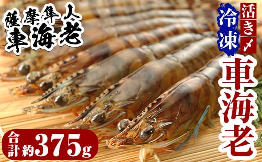B-014 活き〆冷凍車海老「薩摩隼人車海老」合計約375g(約125g×3パック)【MBC開発】