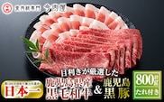 B-011 ＜年内発送＞鹿児島県産黒毛和牛【A-5ランク】＆黒豚しゃぶしゃぶセット（計約800g・たれ付き)※北海道・沖縄配送不可※【今肉屋】 within2025