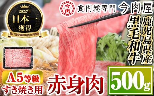 B0-199 厳選A5等級！鹿児島県産黒毛和牛すき焼き用赤身肉(500g)※北海道・沖縄配送不可※【今肉屋】