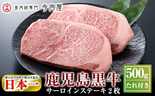 C-013 ＜Ａ５ランク＞黒毛和牛ステーキ計約500g(250g×2枚)※北海道・沖縄配送不可※【今肉屋】