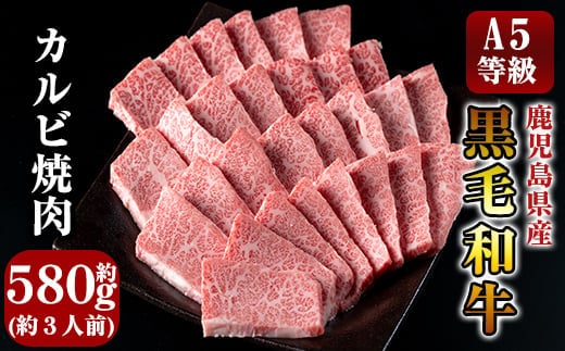 C-014 鹿児島県産黒毛和牛＜A5等級＞黒毛和牛カルビ焼肉用約580g【きりしま畜産】